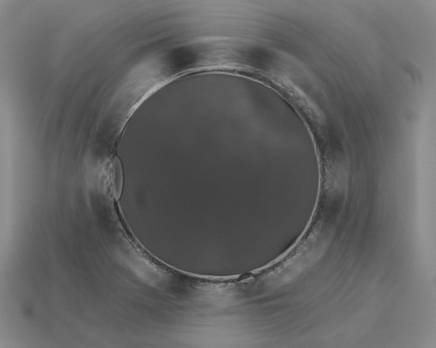 X0000115271369200911131758
