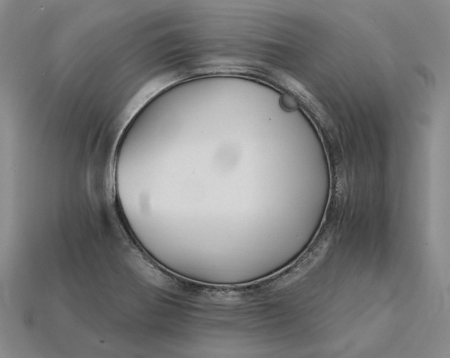 X0000115271370200911131758
