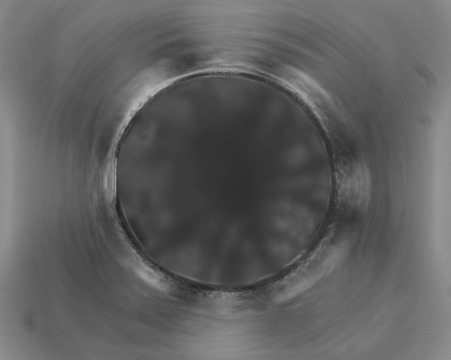 X0000115271371200911131758