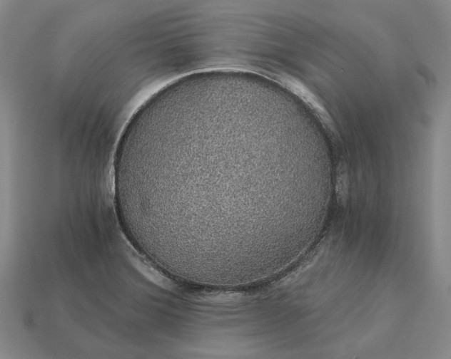 X0000115271372200911131758