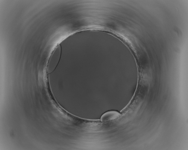 X0000115271373200911131758