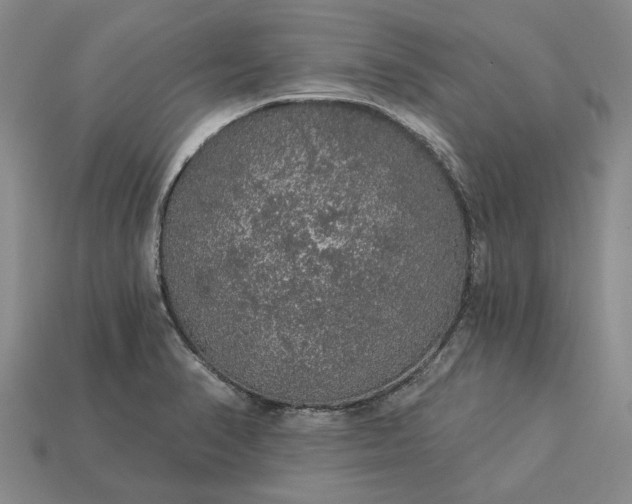 X0000115271374200911131758