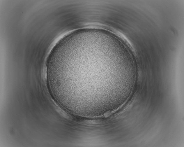 X0000115271376200911131758