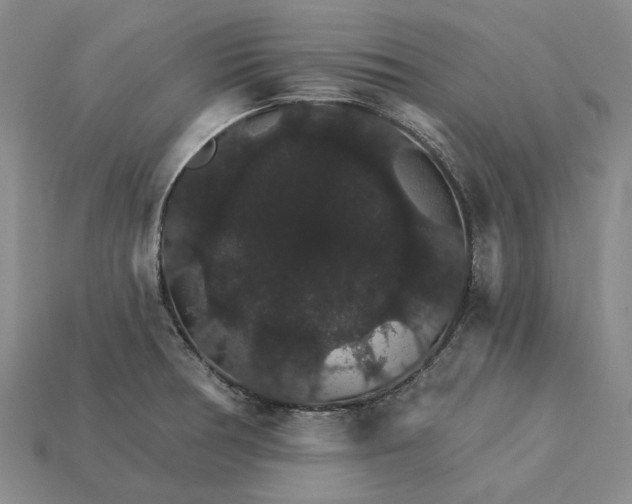 X0000115271378200911131758