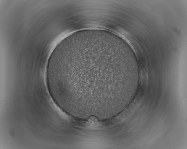 X0000115271379200911131758