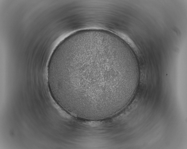 X0000115271380200911131758
