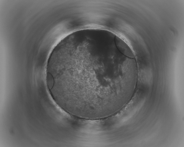 X0000115271381200911131758