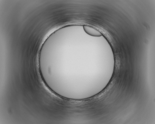 X0000115271382200911131758