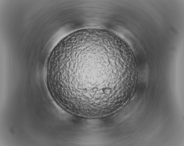 X0000115271383200911131758