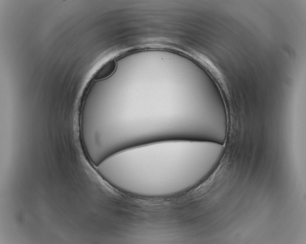 X0000115271384200911131758