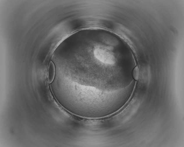 X0000115271385200911131758