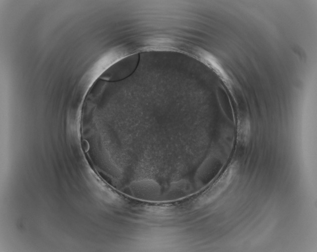 X0000115271386200911131758