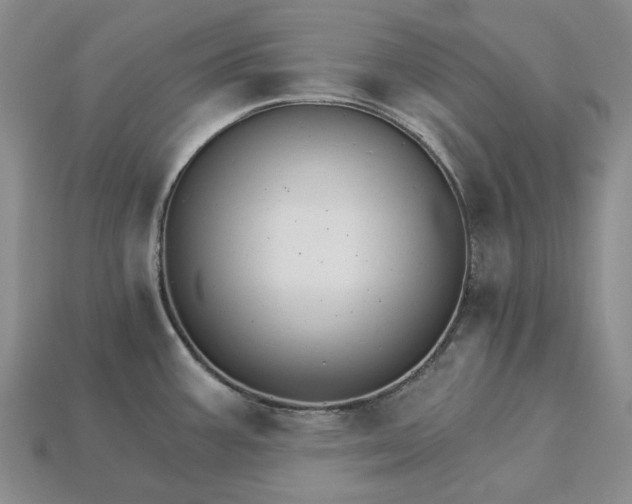 X0000115271387200911131758