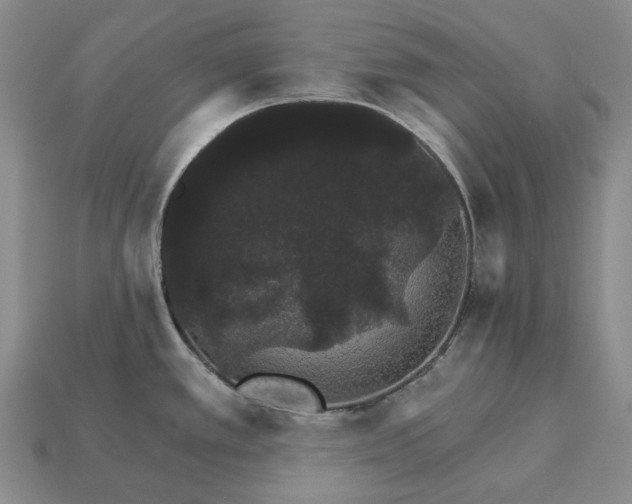 X0000115271389200911131758