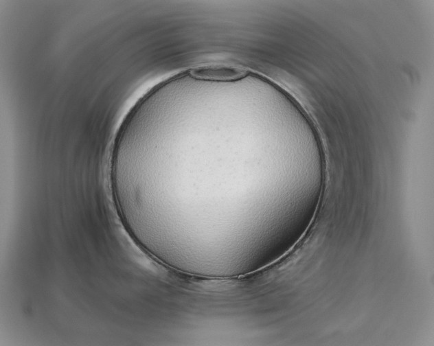 X0000115271392200911131758