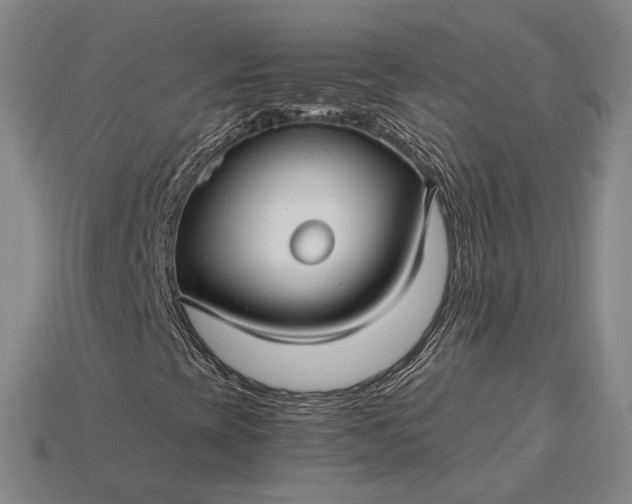 X0000115271393200911131757