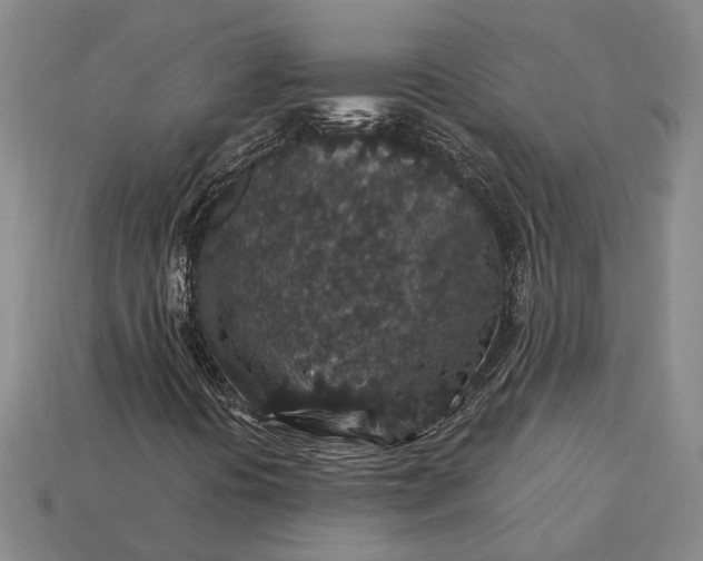 X0000115271394200911131757