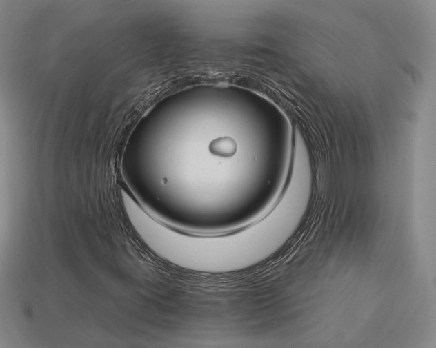 X0000115271395200911131757
