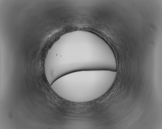 X0000115271398200911131758
