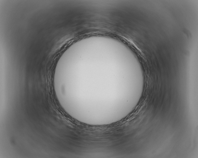 X0000115271399200911131758