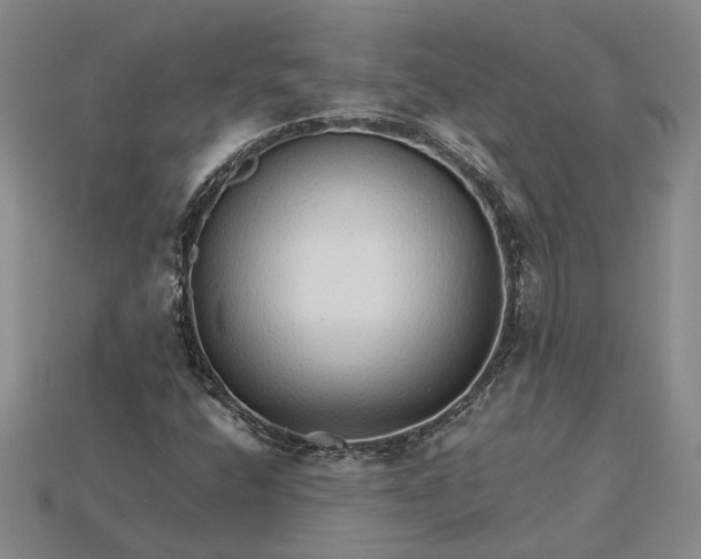 X0000115271400200911131758