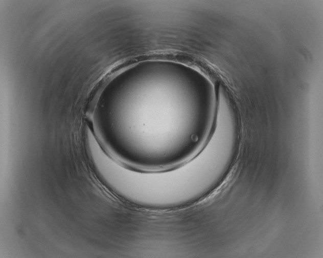 X0000115271401200911131758