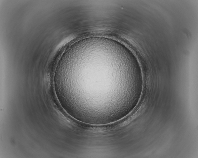 X0000115271402200911131758