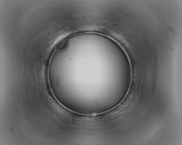 X0000115271404200911131758