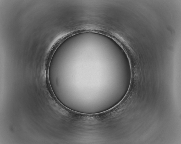 X0000115271408200911131758