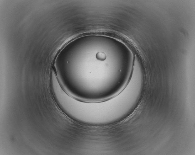 X0000115271409200911131758