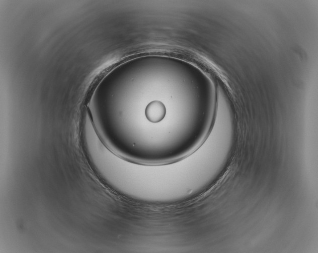 X0000115271411200911131758