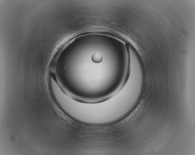 X0000115271413200911131758