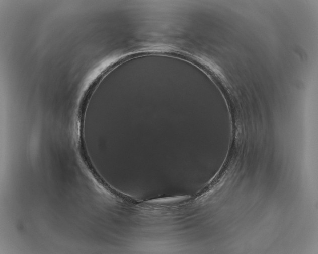 X0000115271414200911131758