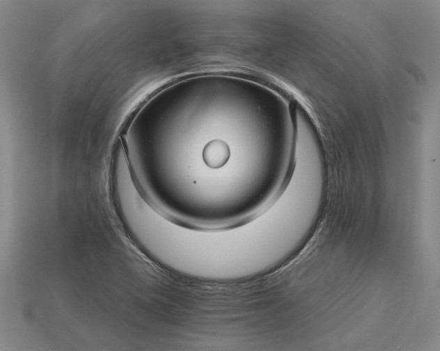 X0000115271415200911131758