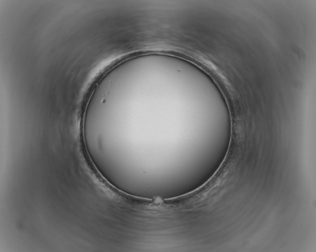 X0000115271416200911131758