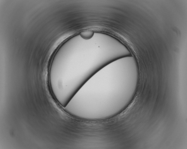 X0000115271418200911131758