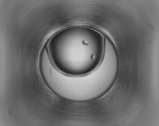 X0000115271419200911131758