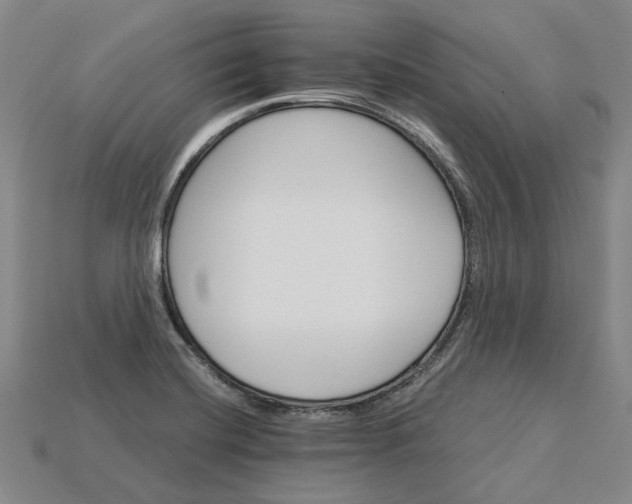 X0000115271420200911131758