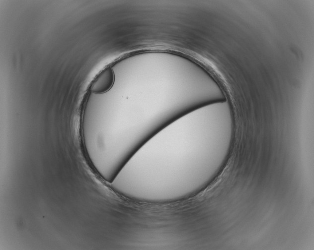 X0000115271424200911131758