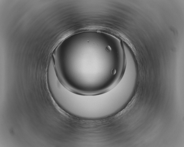 X0000115271425200911131758