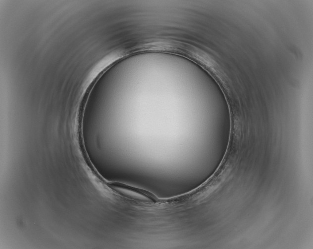 X0000115271426200911131758