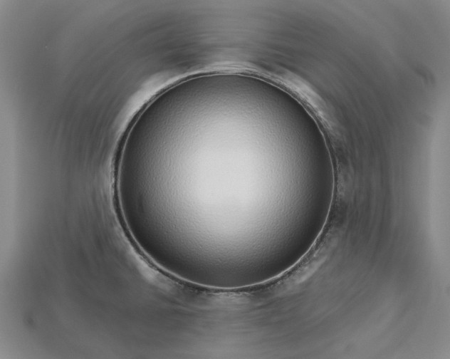X0000115271430200911131758