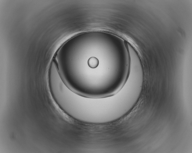 X0000115271431200911131758