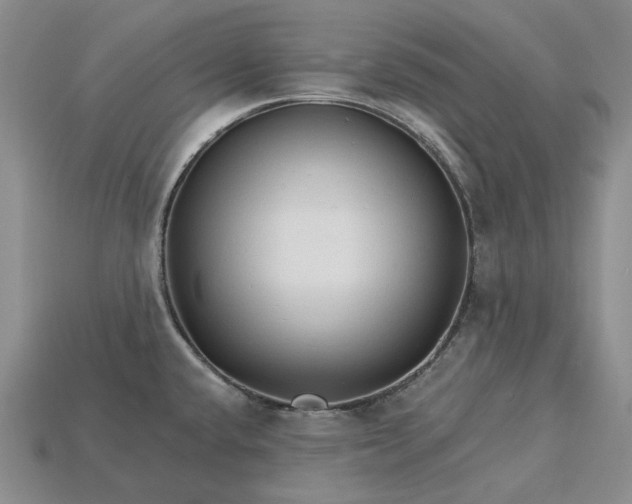 X0000115271432200911131758
