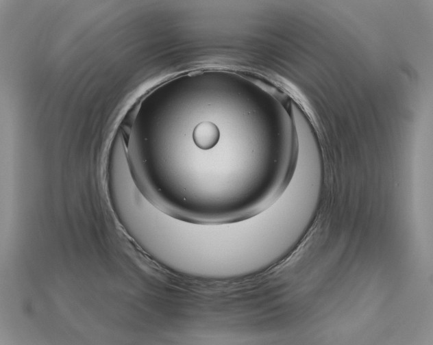 X0000115271435200911131758