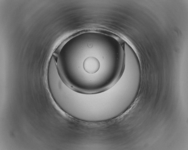X0000115271437200911131758