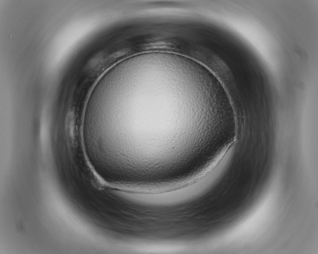 X0000115271438200911131758