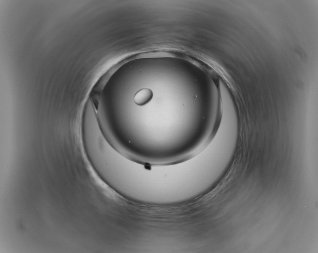 X0000115271439200911131758