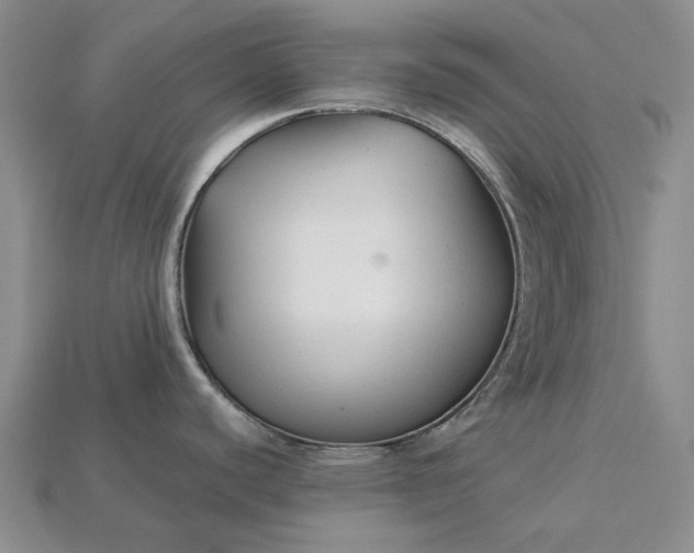 X0000115271440200911131758
