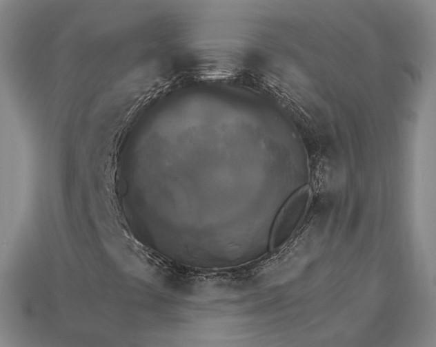 X0000115271441200911131757